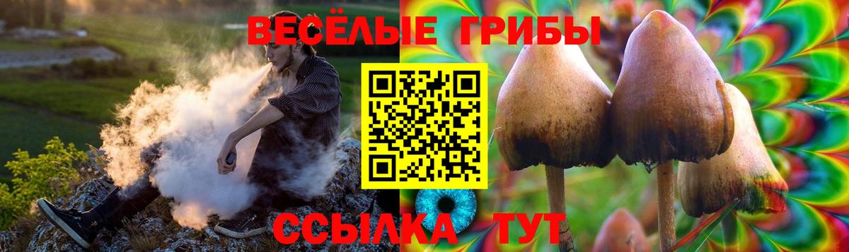 Псилоцибиновые грибы MAGIC MUSHROOMS  Псилоцибиновые грибы ЛСД  Вход с VPN  Надым 